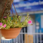 Vila Conte Veli Lošinj
