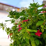 Vila Conte Hotel