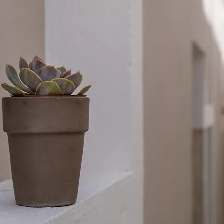 Vila Conte 3* Veli Losinj