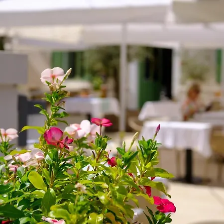 Hotel Conte Lussingrande