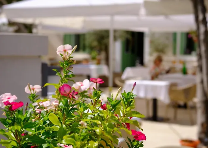 Hotel Vila Conte Veli Lošinj