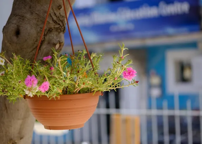 Vila Conte Veli Lošinj