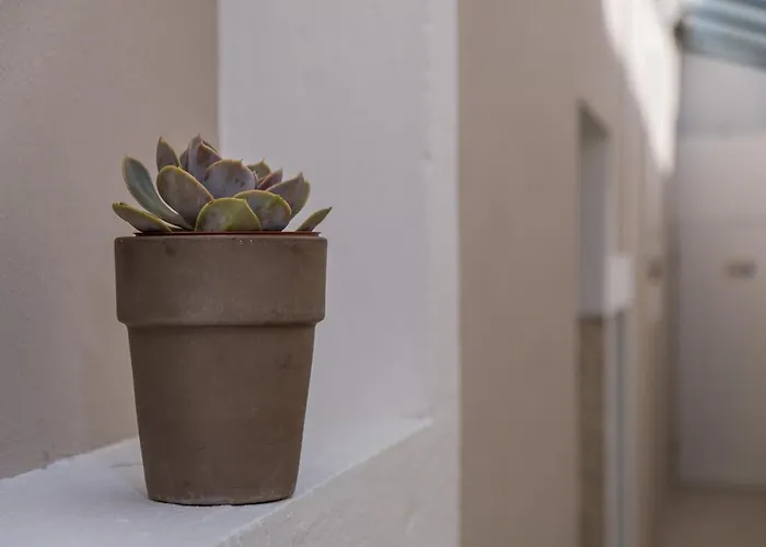 Vila Conte 3* Вели-Лошинь