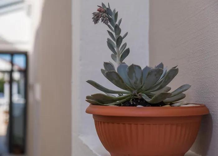 Vila Conte 3* Вели-Лошинь